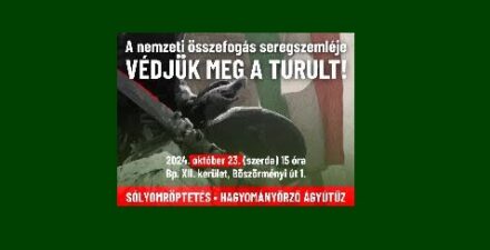 Védjük meg a Turult! – Október 23-i megmozdulás